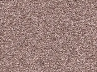 Romance Veloursteppich Raummass mit Paspelband