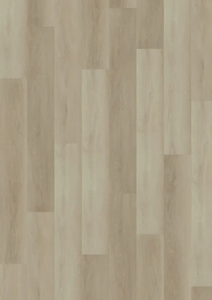 ECO Acoustic 55 Dryback Wood