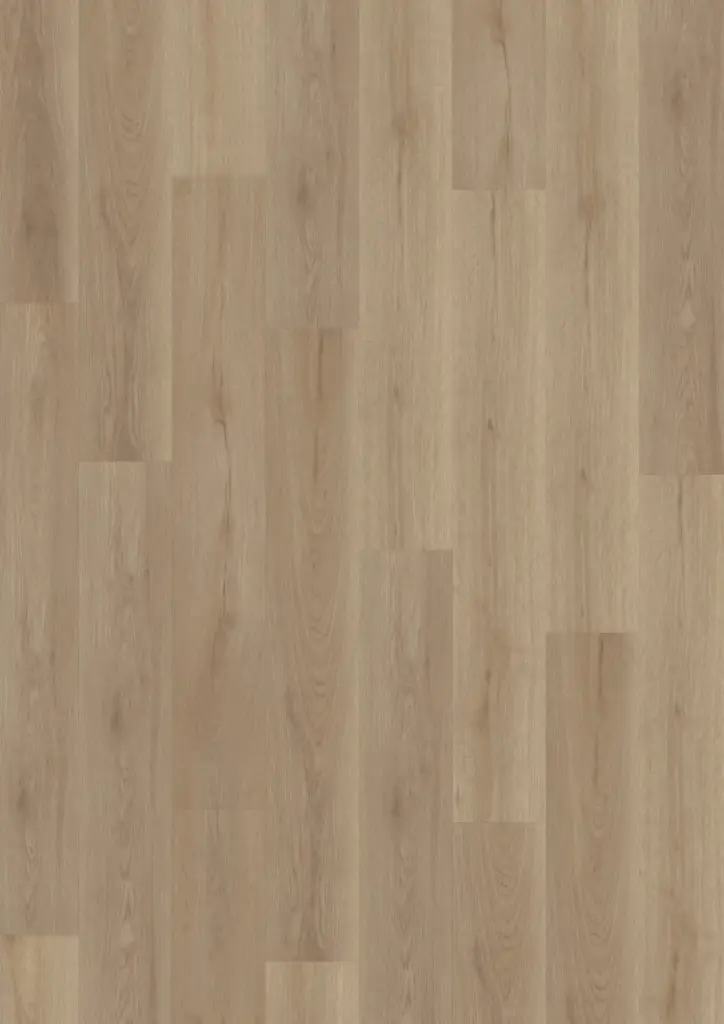 ECO Acoustic 55 Dryback Wood — nordic Oak Greige