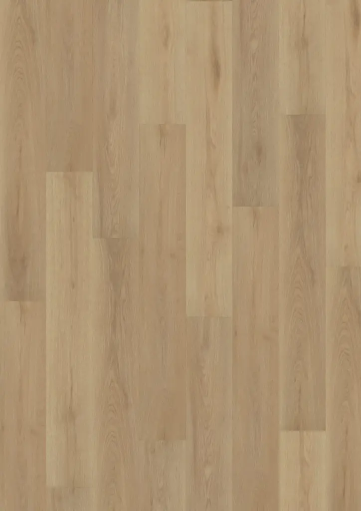 ECO Acoustic 55 Dryback Wood — Nordic Oak Light Natural