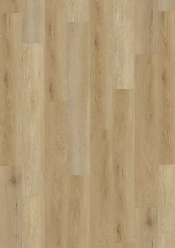 ECO Acoustic 55 Dryback Wood — Delicate Oak Natural