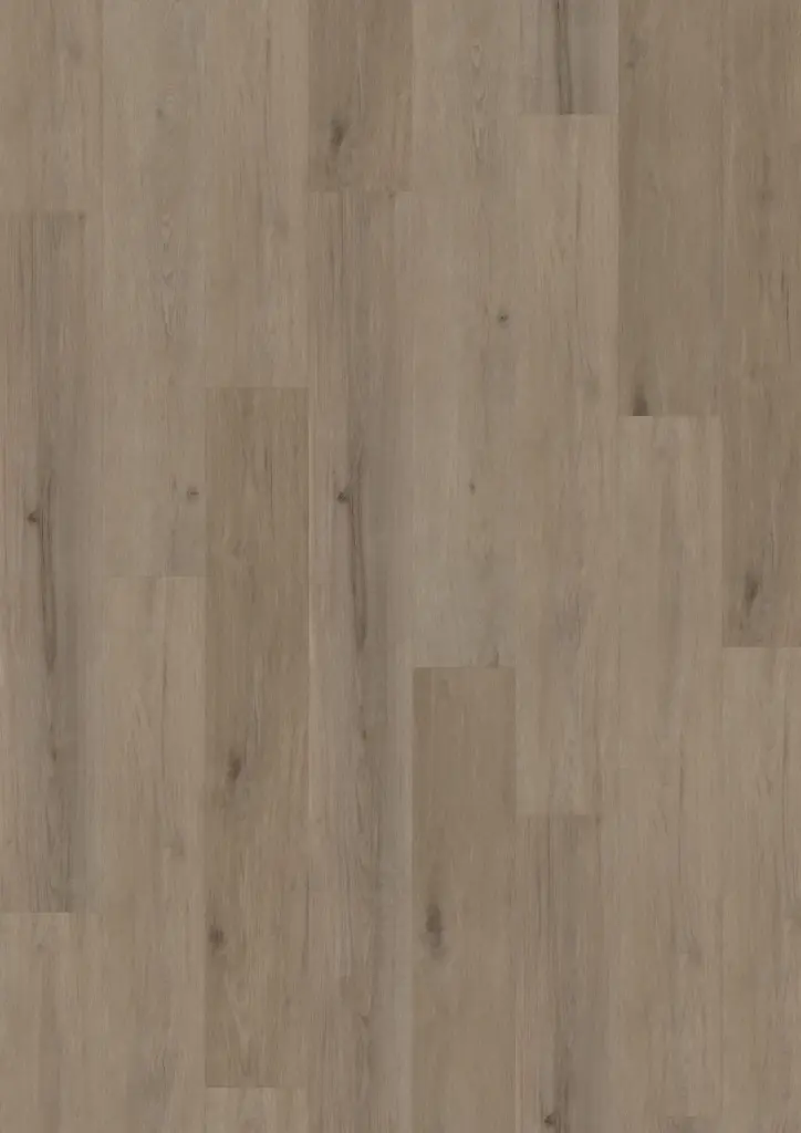 ECO Acoustic 55 Dryback Wood — Aspen Oak Dark Greige