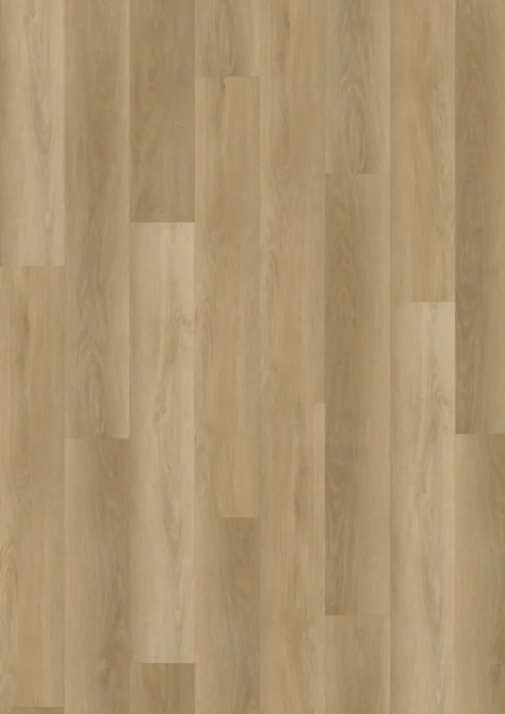 ECO Acoustic 55 Dryback Wood — Fresh Oak Natural
