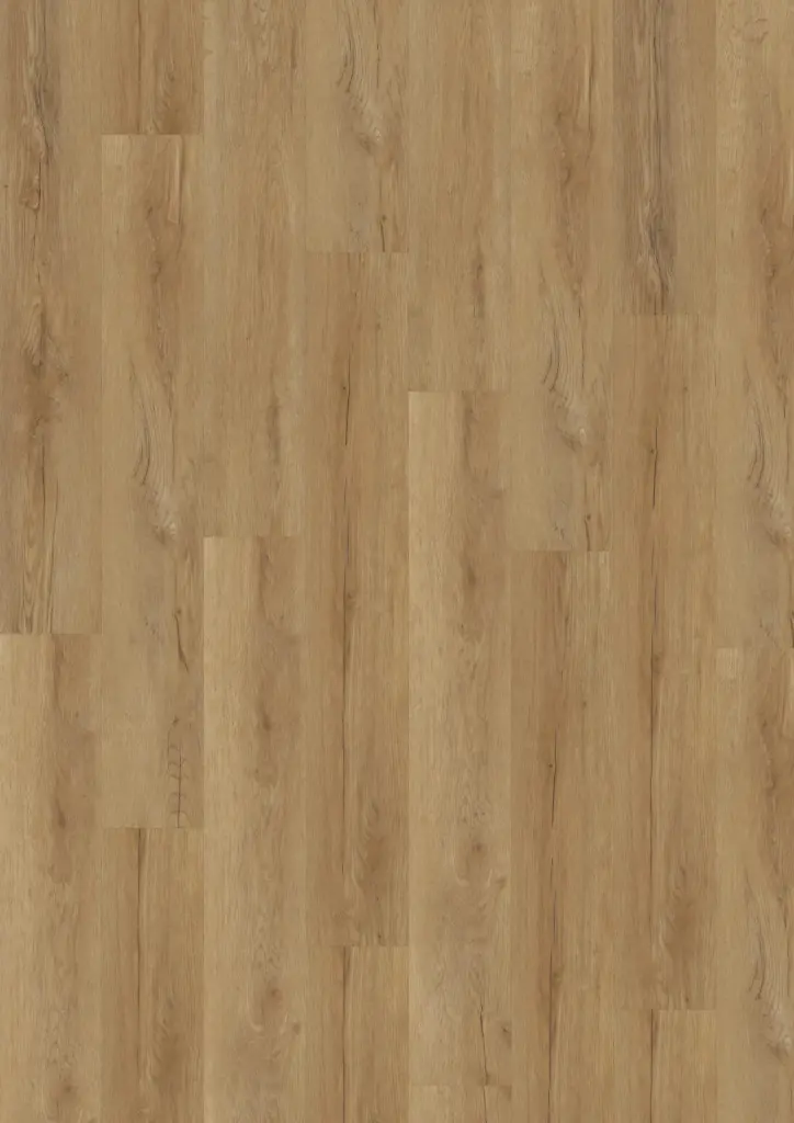 ECO Acoustic 55 Dryback Wood — Bavarian Oak Honey