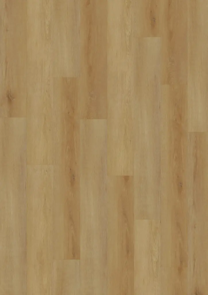ECO Acoustic 55 Dryback Wood — Delicate Oak Amber