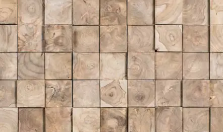 Wonderwall Jungle Teak 