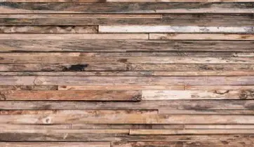 Wonderwall Gallon Mixed Salvage  