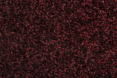 Veloursteppich Tampa