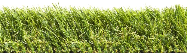 Rasenteppich Impress 60