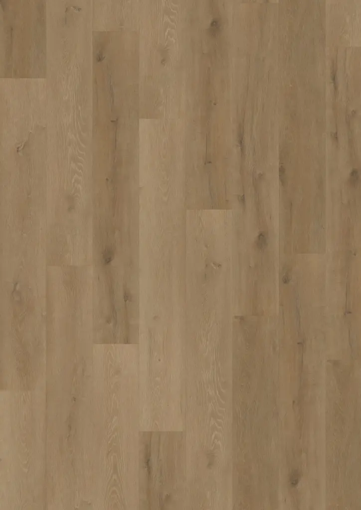 Workshop 55 Concept Click Wood